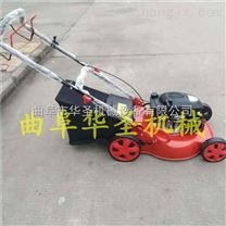 國產手扶草坪機 后集草割草機