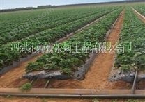 河南濮陽清豐縣大田滴灌帶 膜下軟管產(chǎn)品* 大田滴灌