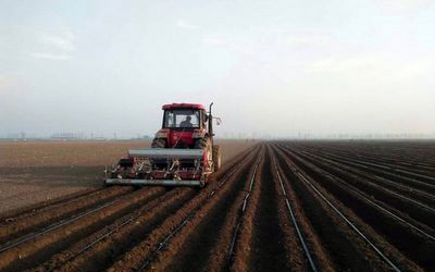 威马农机：公司部分产品在海外现已上线电商途径等出售途径