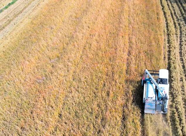 减损就是增产：无锡水稻机收减损技能大比武活动在宜兴举办