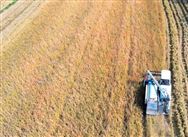 減損就是增產(chǎn)：無(wú)錫水稻機(jī)收減損技能大比武活動(dòng)在宜興舉辦