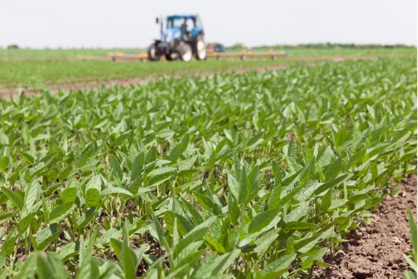 农业农村部部署推进农业强国规划实施和“十五五”农业农村发展规划编制工作