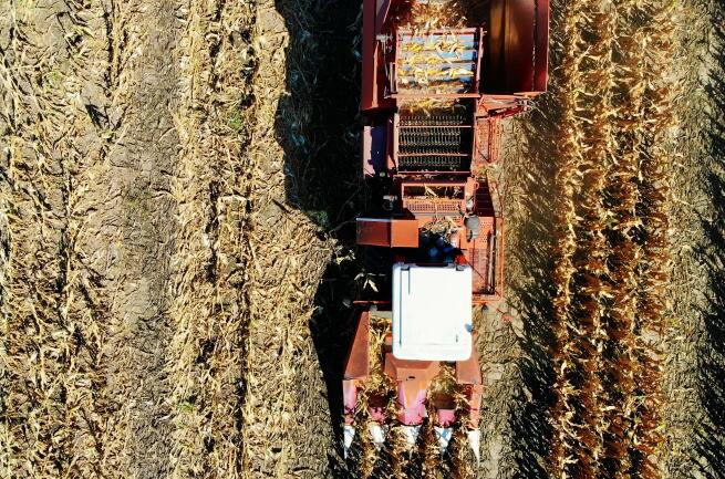 湖南省秸秆综合利用、钢架大棚农机购置与应用补贴bob体b体育软件归档评审结果公示