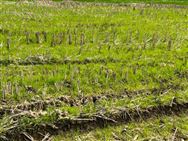 太湖農機中心送服務護安全 助力春耕備耕有序開展