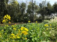 規(guī)范農(nóng)機維修市場秩序：輝南開展農(nóng)機維修網(wǎng)點安全生產(chǎn)專項檢查行動