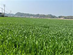 2026年河北省强农惠农政策明白纸之耕地地力保护补贴