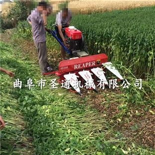 半自動紫花苜蓿收割機，碼放整齊茴香割曬機 玉米青貯聯合收割機