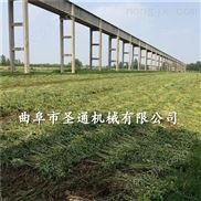 高效柴油收割机，高杆白条割晒机 玉米两行收割机多少钱