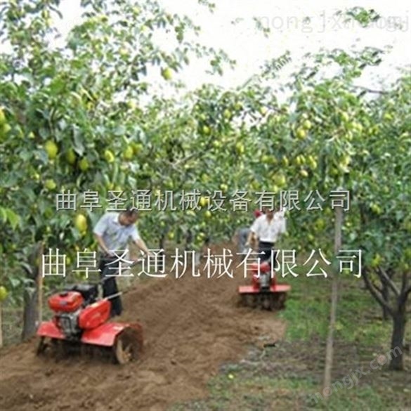 *果园旋土翻耕机，柴油低耗微耕机 小型农业微耕机