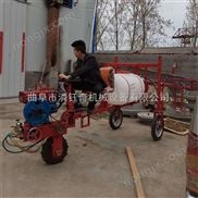 打药机推车式打药机 农用喷雾喷药机 三轮柴油自走式 手推式动力喷雾机